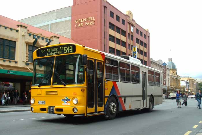 Adelaide Metro Mercedes O305 PMCSA 503